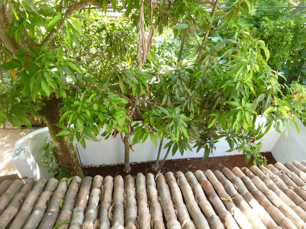Villa Unawatuna Ngoại thất bức ảnh